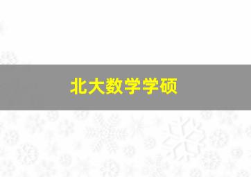 北大数学学硕