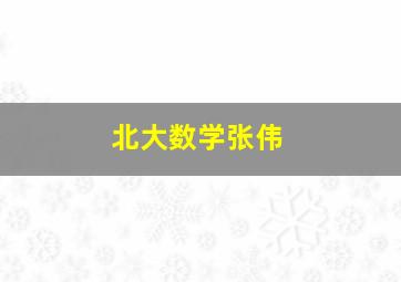 北大数学张伟