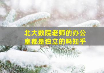 北大数院老师的办公室都是独立的吗知乎