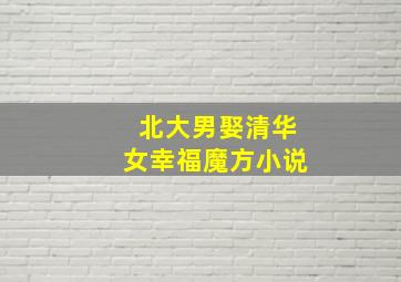 北大男娶清华女幸福魔方小说