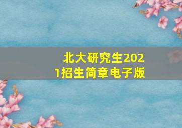 北大研究生2021招生简章电子版