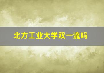 北方工业大学双一流吗