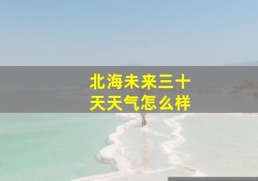 北海未来三十天天气怎么样