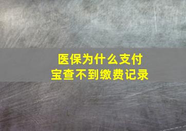 医保为什么支付宝查不到缴费记录