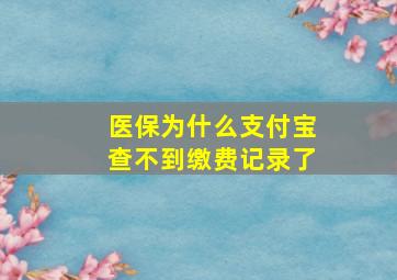 医保为什么支付宝查不到缴费记录了