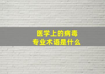 医学上的病毒专业术语是什么