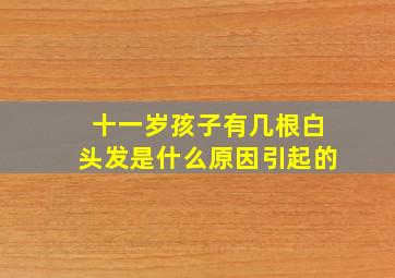 十一岁孩子有几根白头发是什么原因引起的