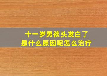 十一岁男孩头发白了是什么原因呢怎么治疗