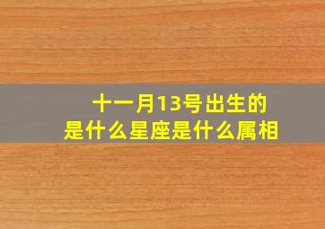 十一月13号出生的是什么星座是什么属相