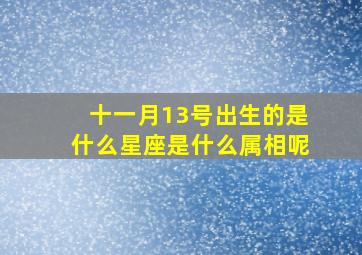 十一月13号出生的是什么星座是什么属相呢