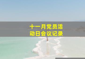 十一月党员活动日会议记录