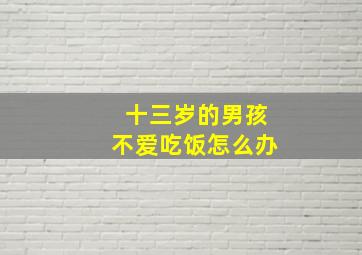 十三岁的男孩不爱吃饭怎么办