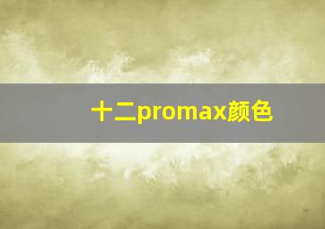 十二promax颜色