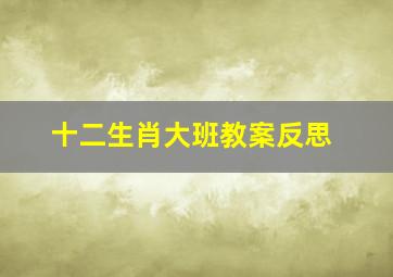 十二生肖大班教案反思