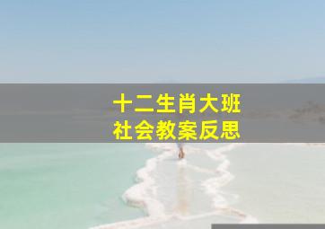 十二生肖大班社会教案反思