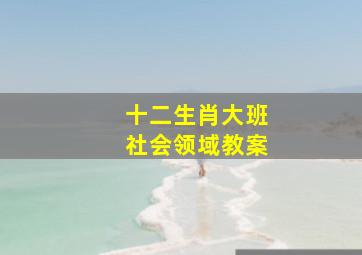 十二生肖大班社会领域教案