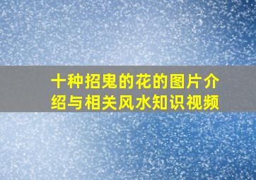 十种招鬼的花的图片介绍与相关风水知识视频