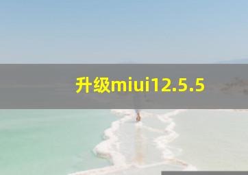 升级miui12.5.5