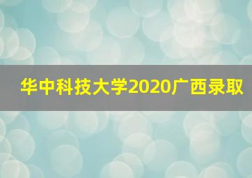 华中科技大学2020广西录取