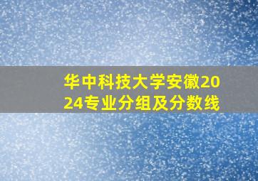 华中科技大学安徽2024专业分组及分数线