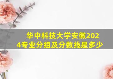 华中科技大学安徽2024专业分组及分数线是多少