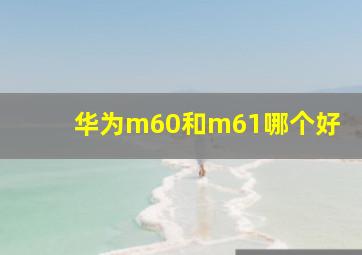 华为m60和m61哪个好