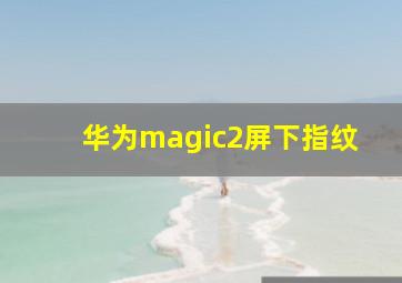 华为magic2屏下指纹