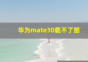 华为mate30截不了图