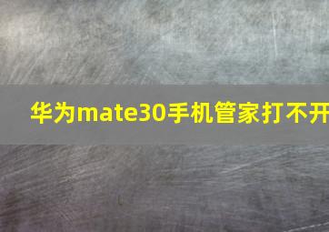 华为mate30手机管家打不开