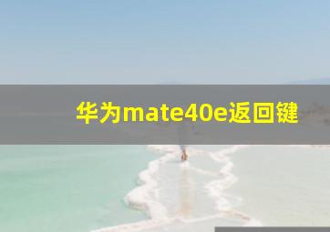 华为mate40e返回键