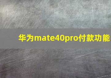 华为mate40pro付款功能