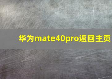 华为mate40pro返回主页