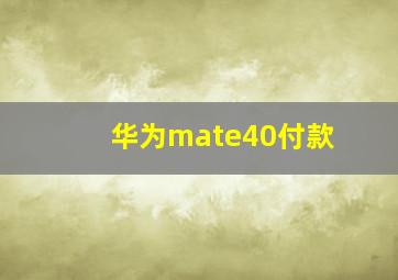 华为mate40付款