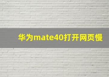 华为mate40打开网页慢