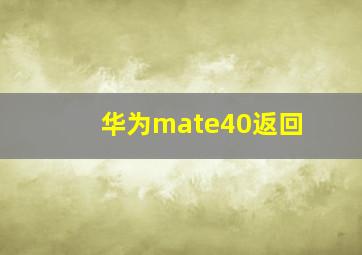 华为mate40返回