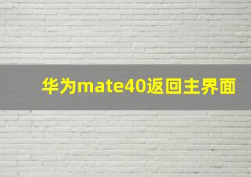 华为mate40返回主界面