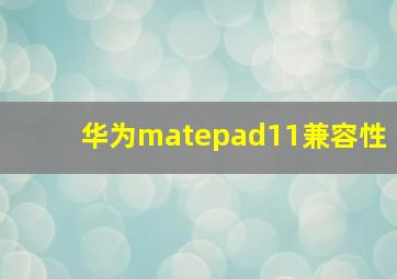 华为matepad11兼容性