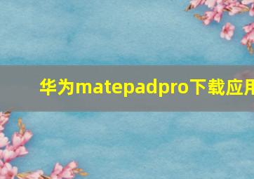 华为matepadpro下载应用