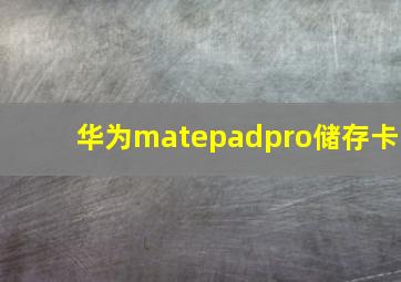 华为matepadpro储存卡