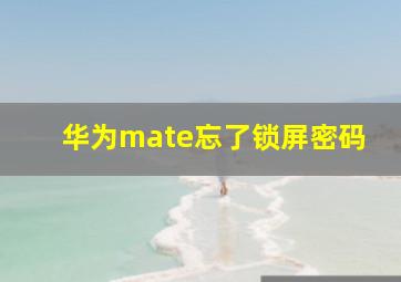 华为mate忘了锁屏密码