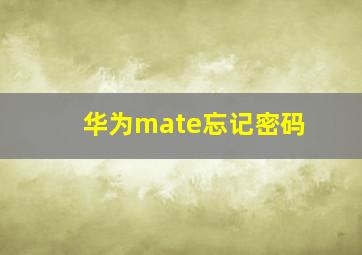 华为mate忘记密码