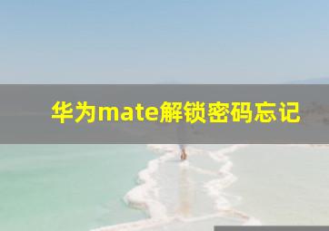 华为mate解锁密码忘记