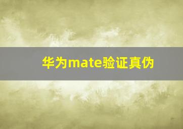 华为mate验证真伪