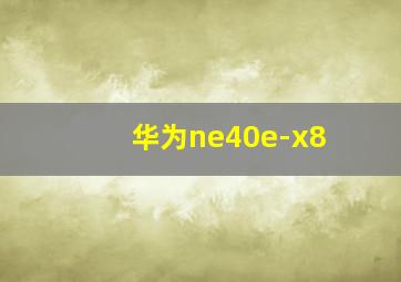 华为ne40e-x8