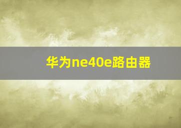 华为ne40e路由器