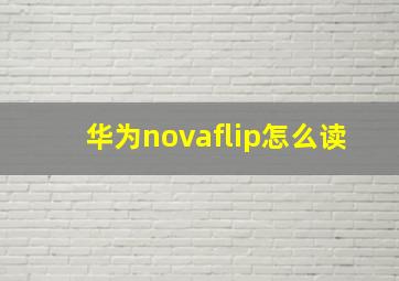 华为novaflip怎么读