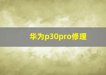 华为p30pro修理