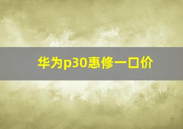 华为p30惠修一口价