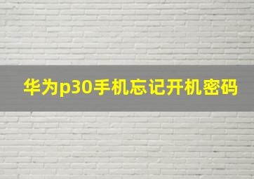 华为p30手机忘记开机密码