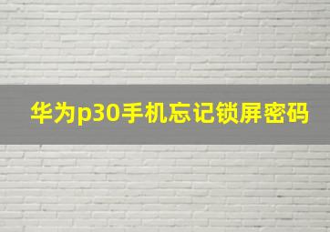 华为p30手机忘记锁屏密码